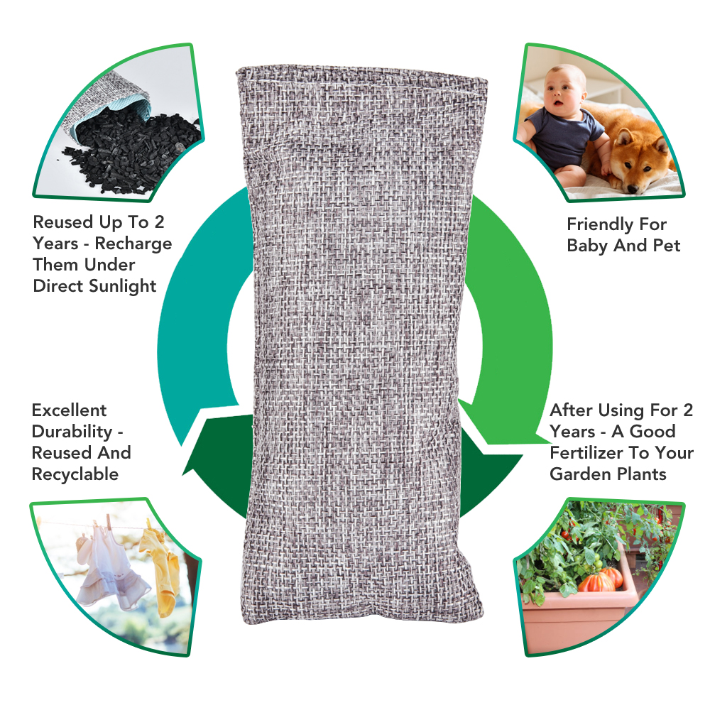 10pcs Natural Bamboo Charcoal  - Odor Eliminator Car review and price